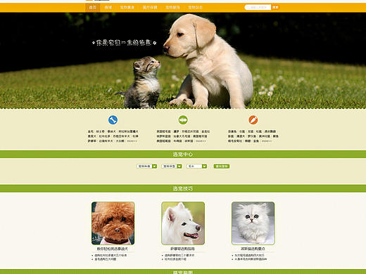 业余的时候自己玩 就传这几张吧