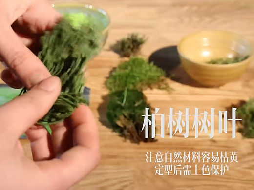 定格动画制作教程——简单几步做一棵树