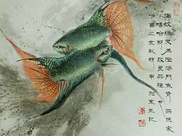 国画花鸟