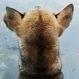 上方谷的头像