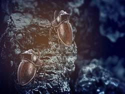 虫子 概念 气氛图 