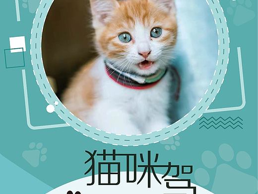 宠物海报
