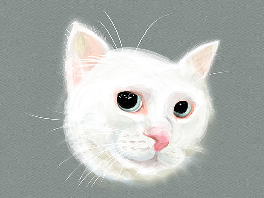 不喜欢猫，但是画了猫