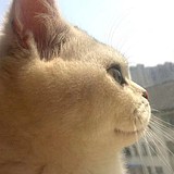 卡拉大王_的头像