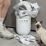 游鱼不能说的秘密的头像
