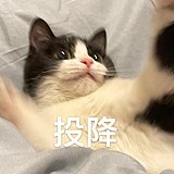 哐叽OWO的头像