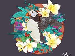 动动手指，磨磨性子（临摹）