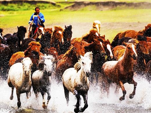 奔騰（個人主頁-ZNDgwNzQ1MDA=） - 人文/紀實攝影 - 站酷設(shè)計師Z51036433原創(chuàng)素材 - 站酷ZCOOL