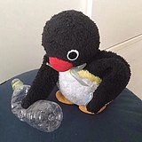 y1ny的头像
