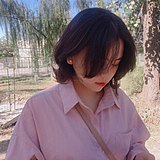 一只大星的头像