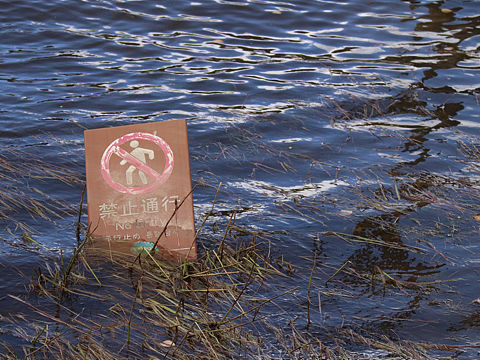 閑（個(gè)人主頁(yè)-ZNTI4NDkwNTI=） - 風(fēng)光攝影 - 站酷設(shè)計(jì)師況且況且況且且原創(chuàng)素材 - 站酷ZCOOL