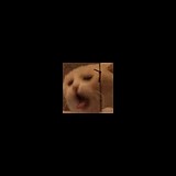小酌同学的头像