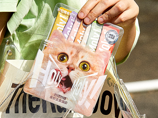 HOLYMOLY®宠物猫主食猫条 ｜ 宠物 猫 猫条 包装 品牌