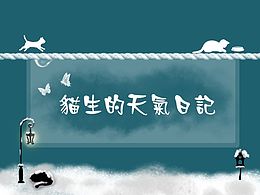 猫生的天气日记