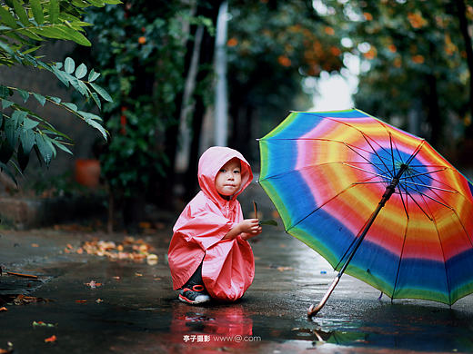 秋雨绵绵,秋风瑟瑟