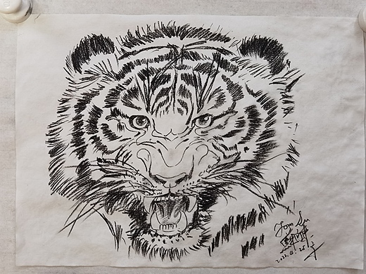 我今早起来刚刚画的虎头速写作品.