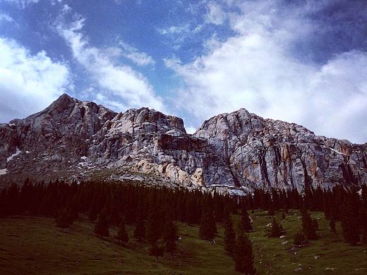 您好我爱的新疆