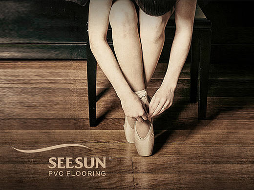 SEESUN赛商官网设计