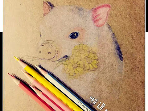 彩铅~猪猪
