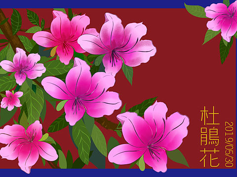 杜鹃花（个人主页-ZMzYzNDcyMjA=） - 新锐潮流插画 - 站酷设计师我是胖胖的西瓜呀原创素材 - 站酷ZCOOL