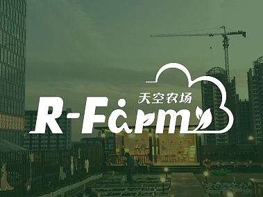 武汉天空农场logo设计