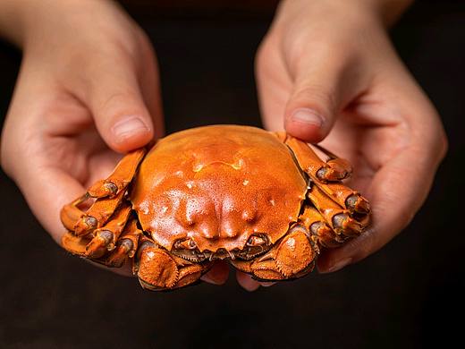 电商产品拍摄｜螃蟹大闸蟹×玩味拾光