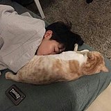 SOLOYE的头像