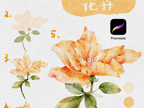 iPad水彩作品procreate/花卉