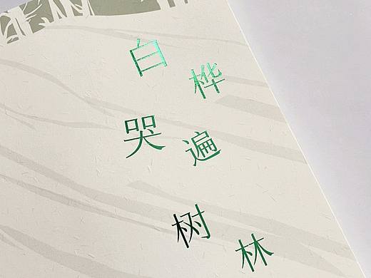 白桦哭遍树林-书籍封面装帧设计