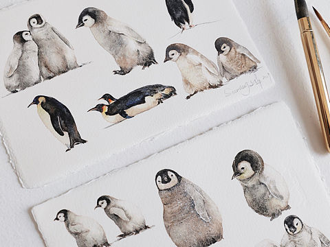 水彩企鹅绘画过程（个人主页-ZMzkwODg1MzI=） - 商业插画 - 站酷设计师文静手绘原创素材 - 站酷ZCOOL