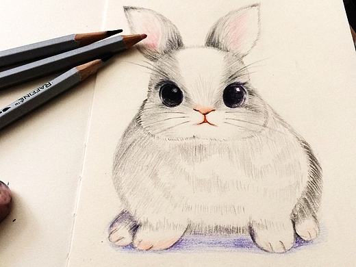 兔子（个人主页-ZMTc3Mzk0ODQ=） - 创作习作 - 站酷设计师only7086原创素材 - 站酷ZCOOL