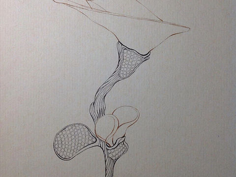 珠宝手绘