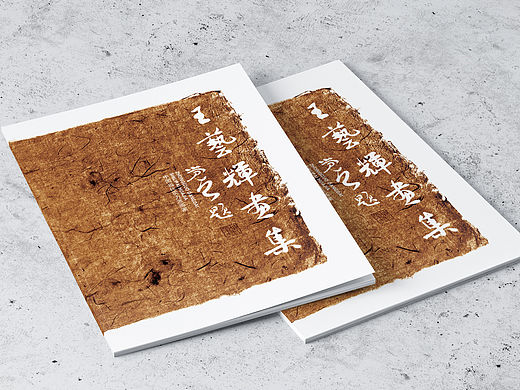 王艺辉 个人书画集 画册