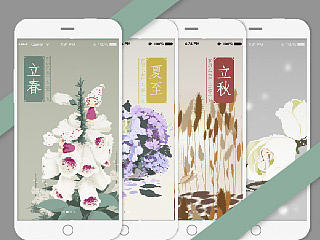 节气与花儿-app引导页插图