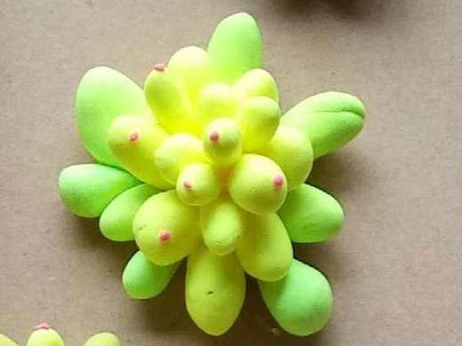 多肉小艺（个人主页-ZMTgzMTMwNTY=） - 其他手工艺 - 站酷设计师甲甲玲原创素材 - 站酷ZCOOL