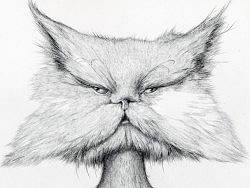 2012作品－《猫女郎》 