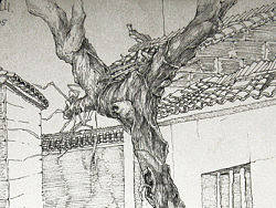 巷A（个人主页-ZMTkwNzMxMg==） - 商业插画 - 站酷设计师samak47原创素材 - 站酷ZCOOL