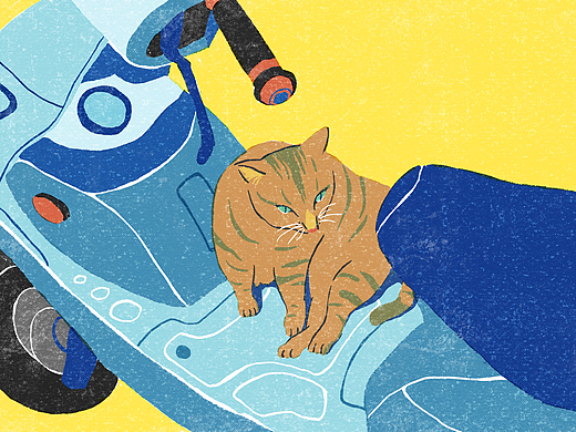 色彩练习|城市里的动物