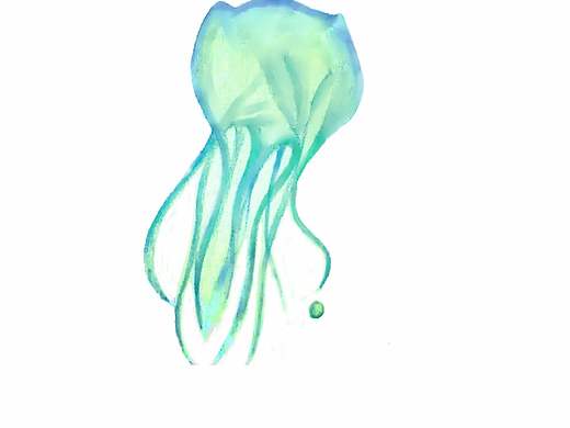 塑料海洋