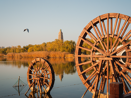 傍晚的公园（个人主页-ZNjg2NTQ2MjA=） - 风光摄影 - 站酷设计师左格品牌原创素材 - 站酷ZCOOL