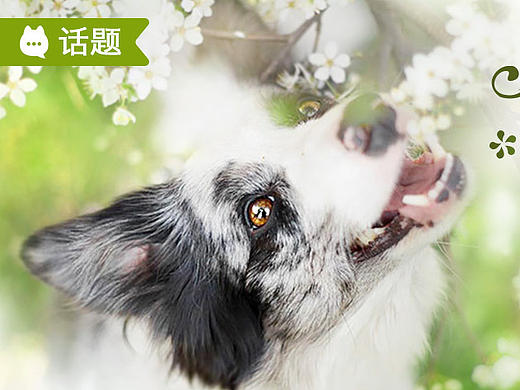 2017年-banner作品集（個人主頁-ZMjE4Njg1MjQ=） - 其他平面 - 站酷設(shè)計師袁笑笑原創(chuàng)素材 - 站酷ZCOOL