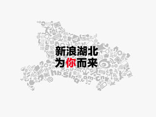 新浪湖北 企业宣传册