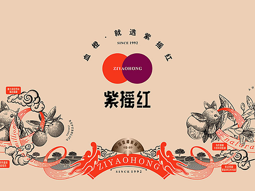 资中血橙·紫摇红-农产品包装设计