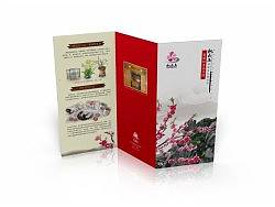 游游产品三折页