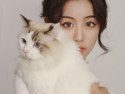 猫与少女