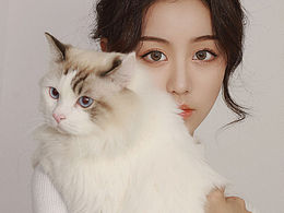猫咪太卡哇伊