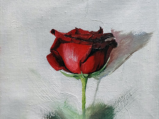 练习—玫瑰