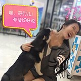 用户头像