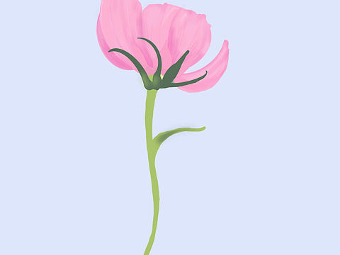 花（个人主页-ZNTYwMDM5MzI=） - 商业插画 - 站酷设计师黑猪泡泡原创素材 - 站酷ZCOOL