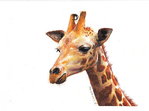 《长颈鹿》（个人主页-ZMjgwNDEyNjg=） - 绘画 - 站酷设计师art_小冬原创素材 - 站酷ZCOOL